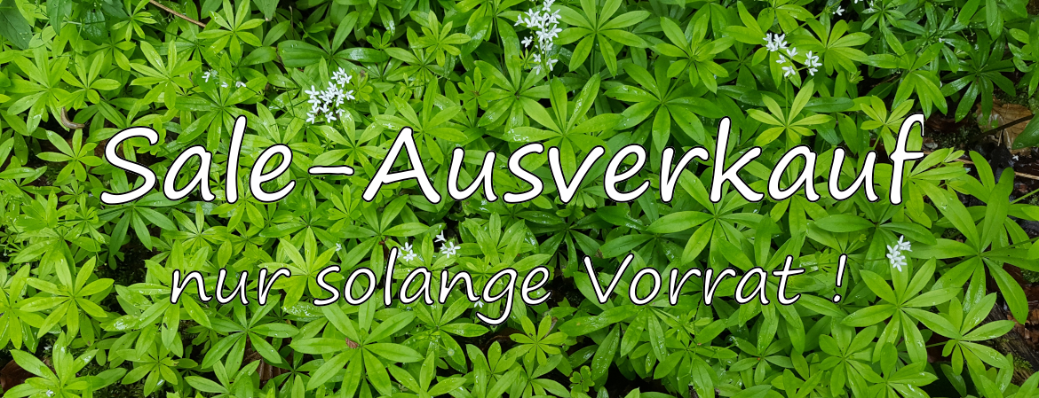 Sale - Ausverkauf