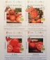 Mobile Preview: Culinaris Freiland-Tomaten-Box, BIO 8er Set