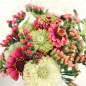 Mobile Preview: Jora Dahl Wild Bouquets Zinnia Collection