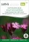 Mobile Preview: Karthäuser Nelke - Dianthus carthusianorum, demeter