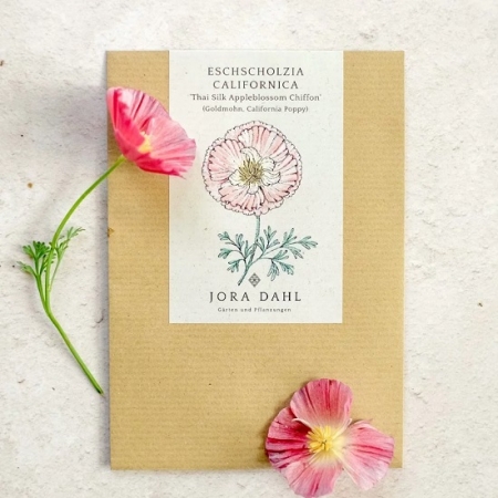 Jora Dahl Eschscholzia californica ‚Thai Silk Apple Blossom‘ (Goldmohn)