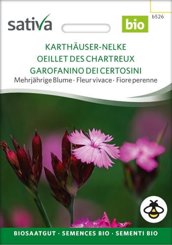 Karthäuser Nelke - Dianthus carthusianorum, demeter