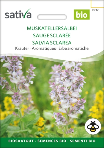 Muskatellersalbei - Salvia sclarea, demeter