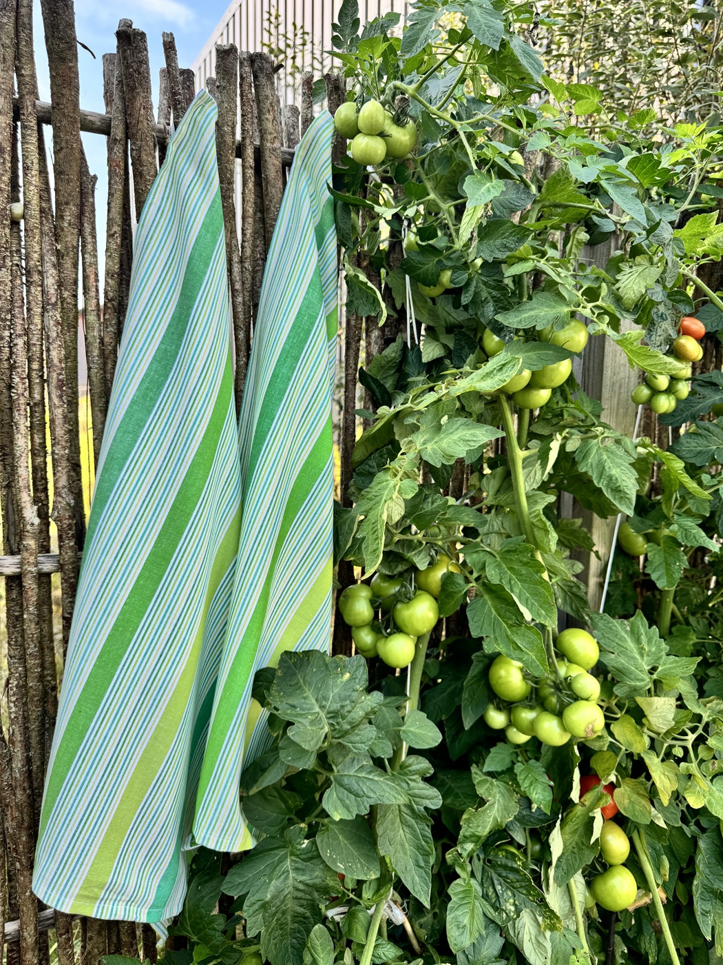 Solwang Geschirrtuch frisches Grün 50 x 70 cm, 3er Set im Stadtpflanze-Shop kaufen