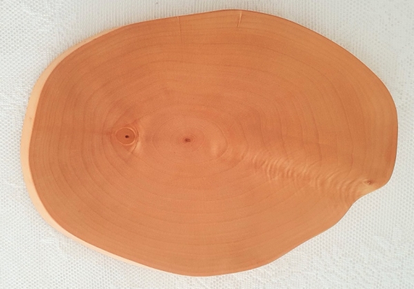 Holzscheibe aus Birkenbaumholz, 28 x 20 cm