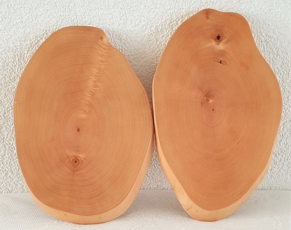 Holzscheibe aus Birkenbaumholz, 28 x 20 cm