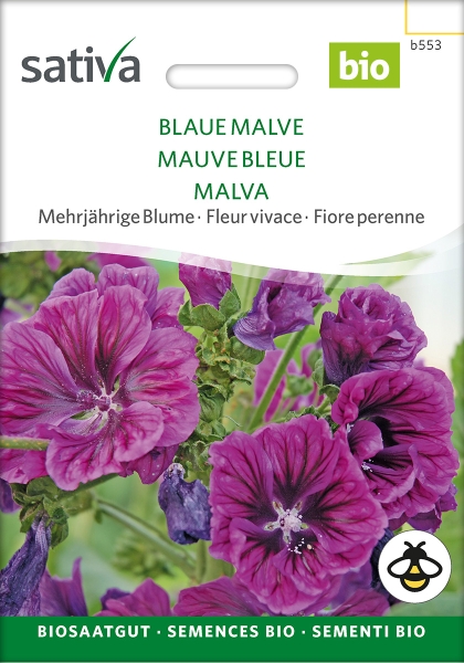 Blaue Malve - Malva sylvestris mauretanica, bio