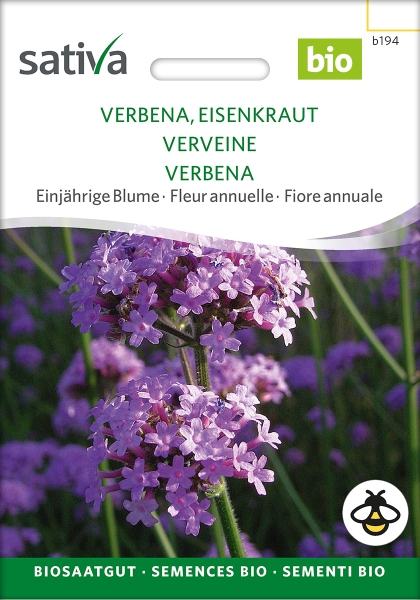 Verbena, Eisenkraut - Verbena bonariensis, demeter